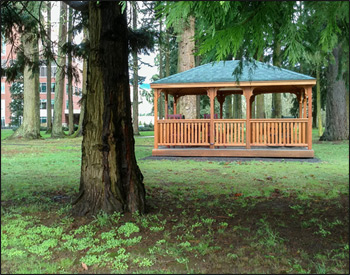 12 x 16 Cedar Rectangular Gazebo shown with Gray Composite Deck. 1x3 Railings, 36" High Railings, Standard Posts, Standard Braces, No Top Railing Section, Straight fascia, No Cupola, Cedar Tongue and Groove Ceiling, Rustic Evergreen Asphalt Shingles, Cedar Stain/Sealer, Stainless Steel Hardware, 4x4 Runners, and Hidden Wiring w/ 1 Receptacle and Switch.