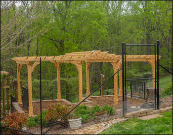 Custom Treated Pine Center Arch 2-Beam With 8x12 Pergola shown with 16" Top Runner Spacing, No 36" Post Trim, and Clear Stain Sealer