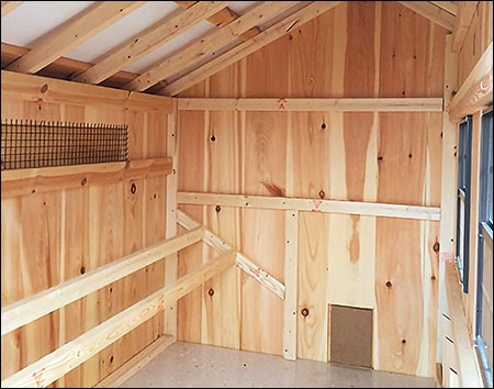 Board & Batten Chicken Coop