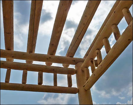 White Cedar Rustic Log Garden Pergola